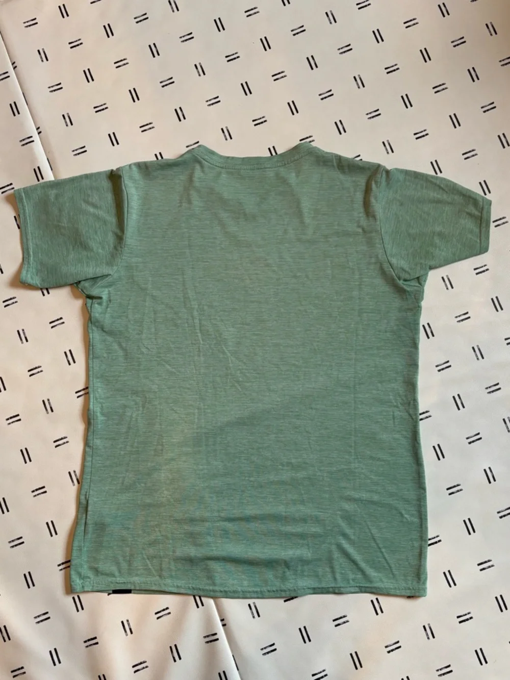 Patagonia Capilene Cool Daily Light Green “Run” Tee, Size Small - Picture 3 of 5
